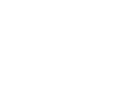 SOUTH HALLS HEAD PRIMARY SCHOOL